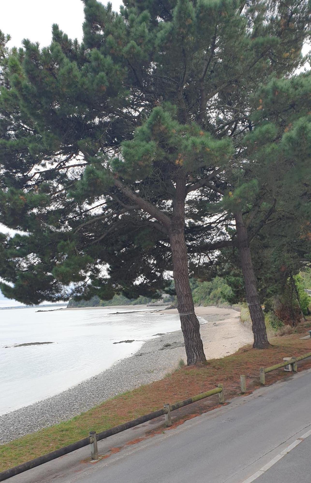Port De La Houle - Beau 3 Pieces Classe 3 Etoiles Avec Garage Prive 康卡勒 外观 照片